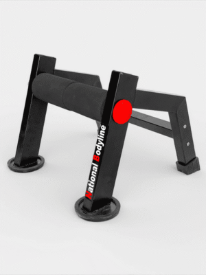 SINGLE LEG SQUAT