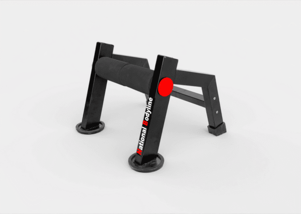SINGLE LEG SQUAT