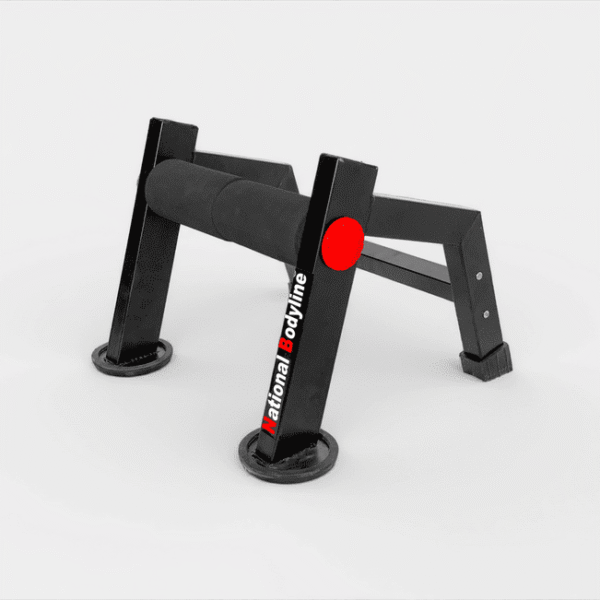 SINGLE LEG SQUAT