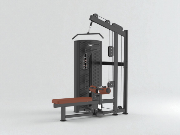 BTX-12 (Dual) High Pulley/Row