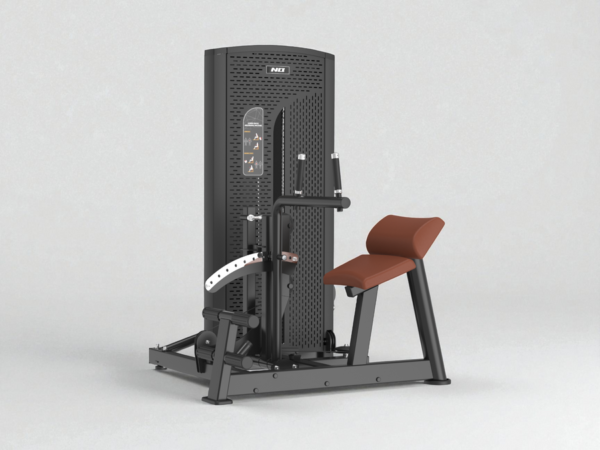 BTX-0910 (Dual) Low Back/Ab Machine