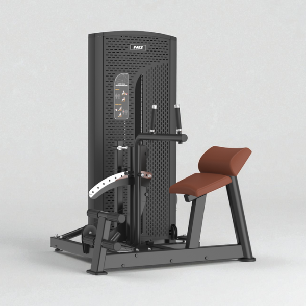 BTX-0910 (Dual) Low Back/Ab Machine