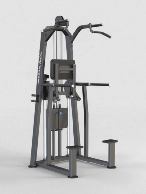 U3009 Dip/Chin Assist