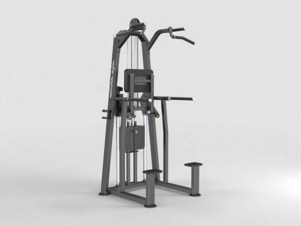 U3009 Dip/Chin Assist