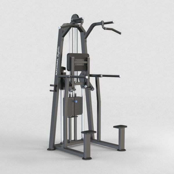 U3009 Dip/Chin Assist