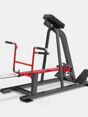 AMV41 T Rowing Trainer
