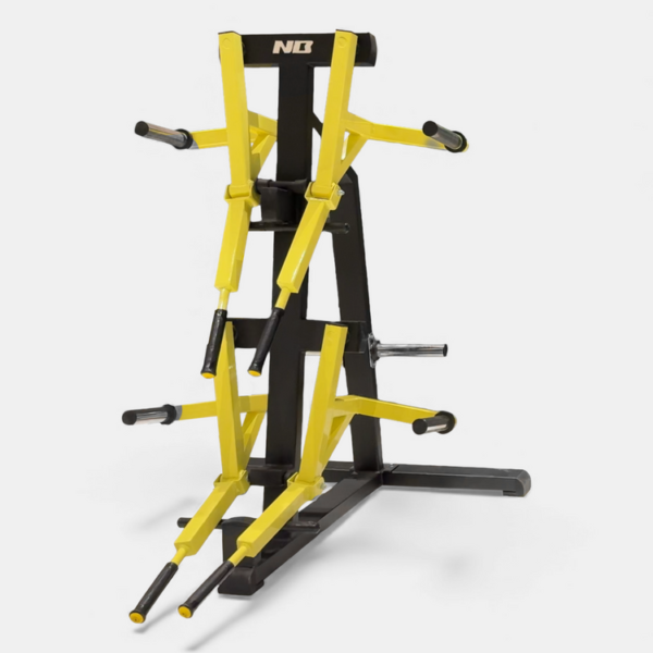 MW06 Dual Lateral Raise