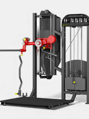 BM027 Standing Bicep/Tricep